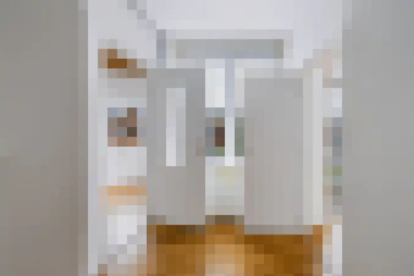 Van Zeggelenlaan 71 Den Haag thumbnail 10
