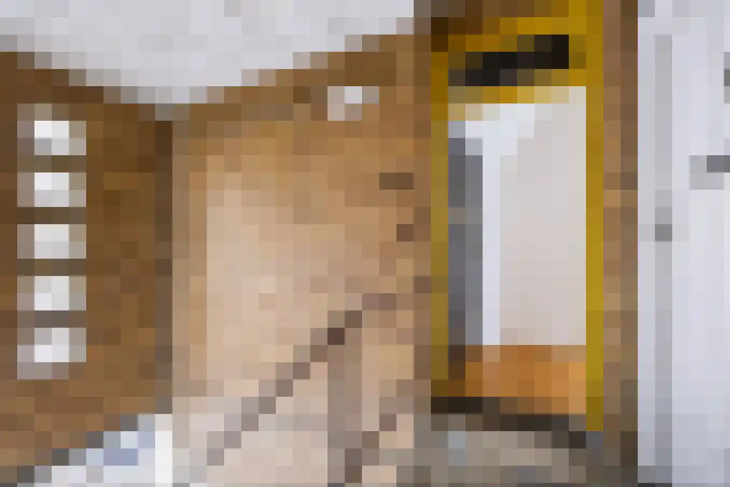 Van Zeggelenlaan 71 Den Haag thumbnail 4