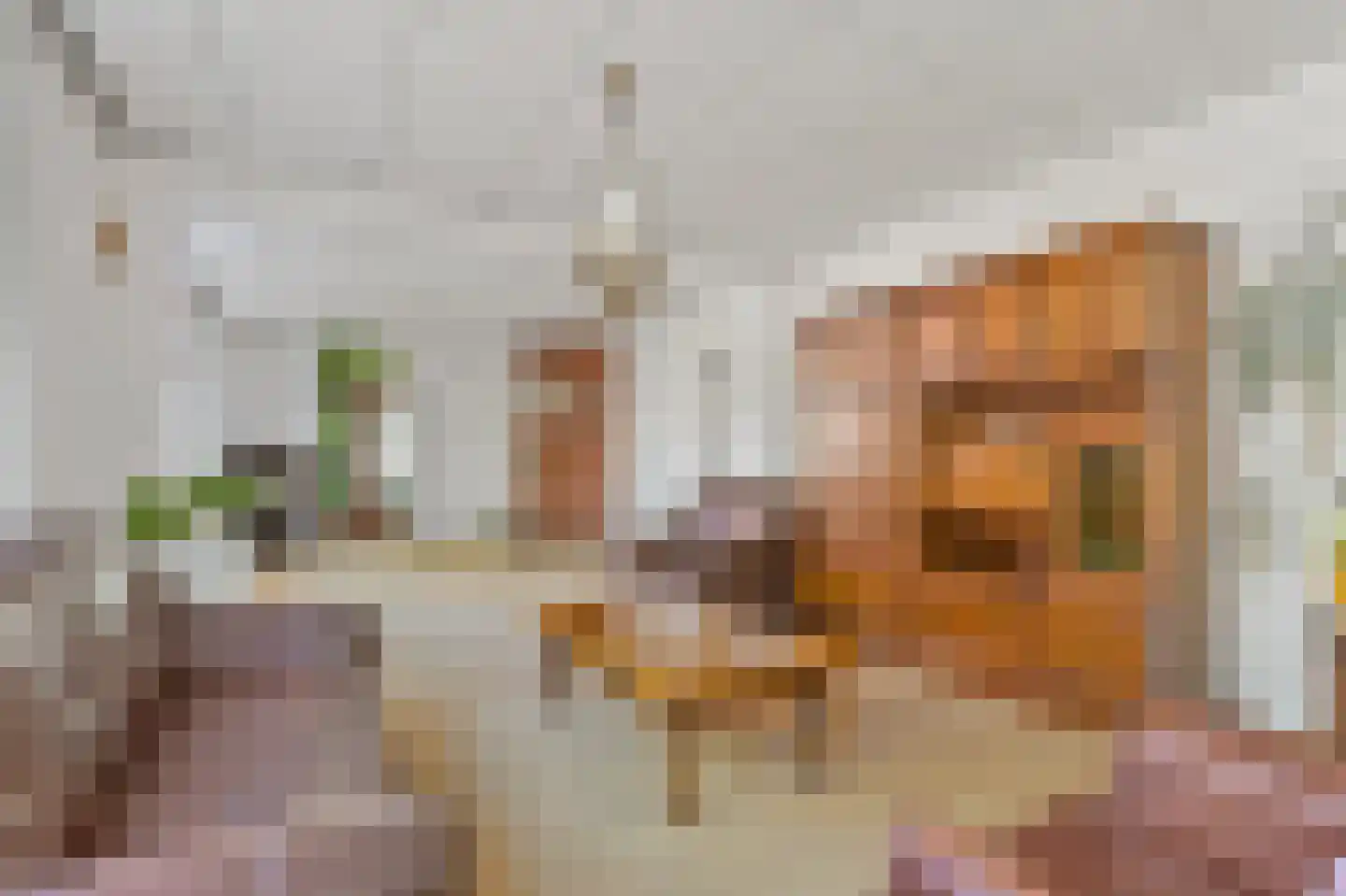 Van Zeggelenlaan 8 Den Haag thumbnail 4