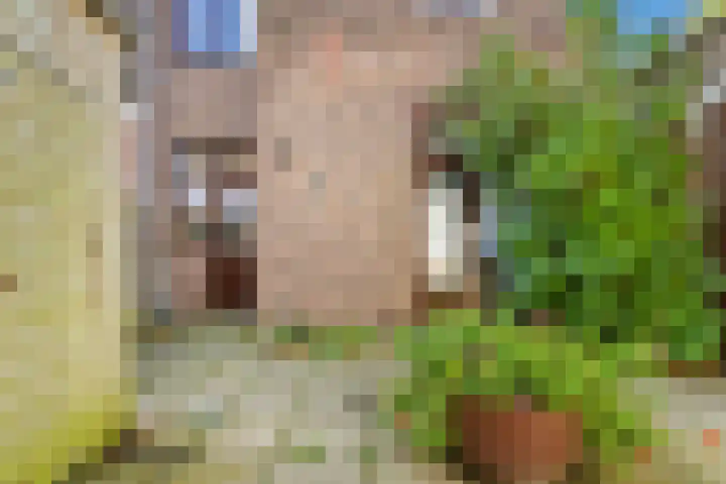 Van Zeggelenlaan 8 Den Haag thumbnail 9