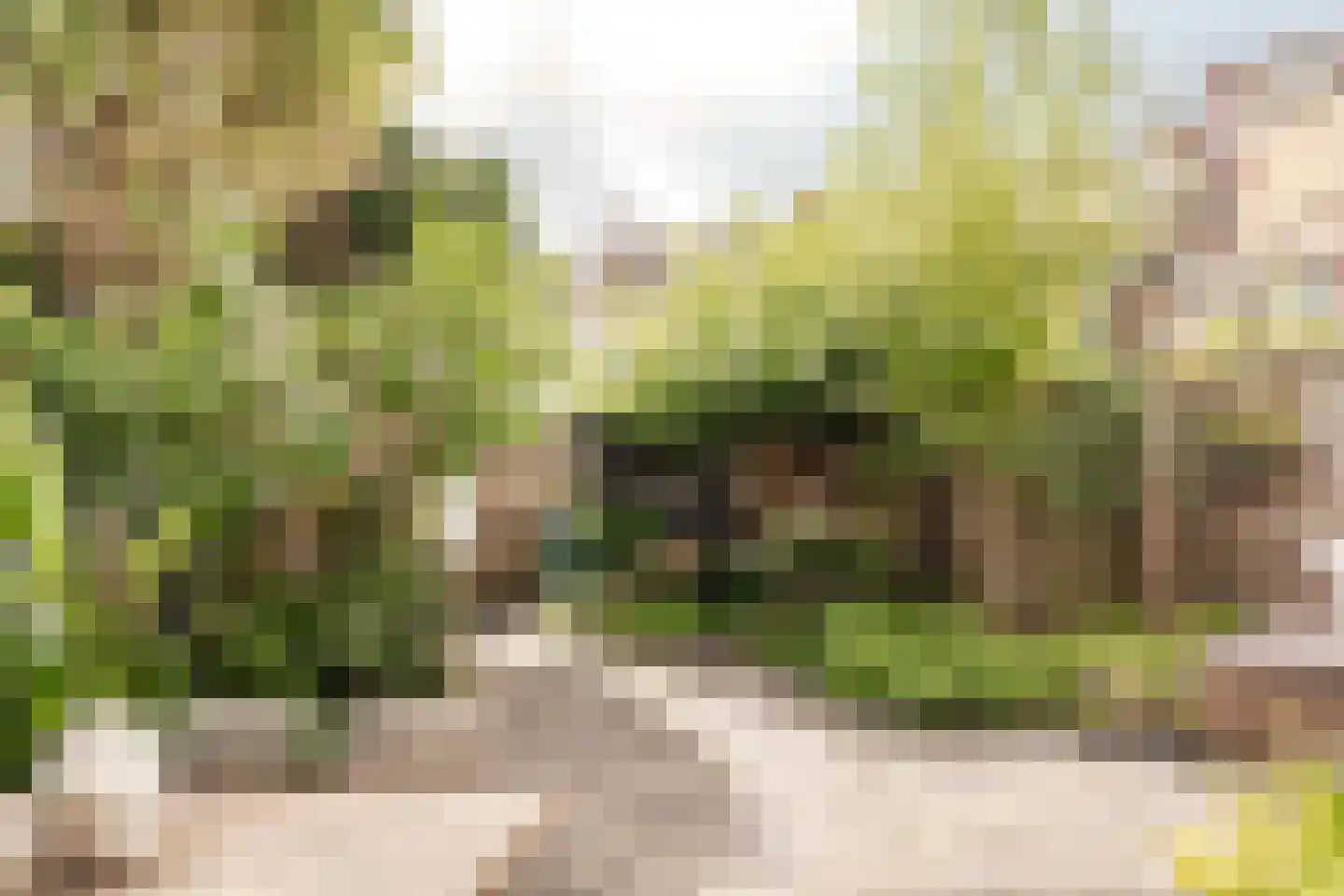 Van Zeggelenplein 1 Haarlem thumbnail 23