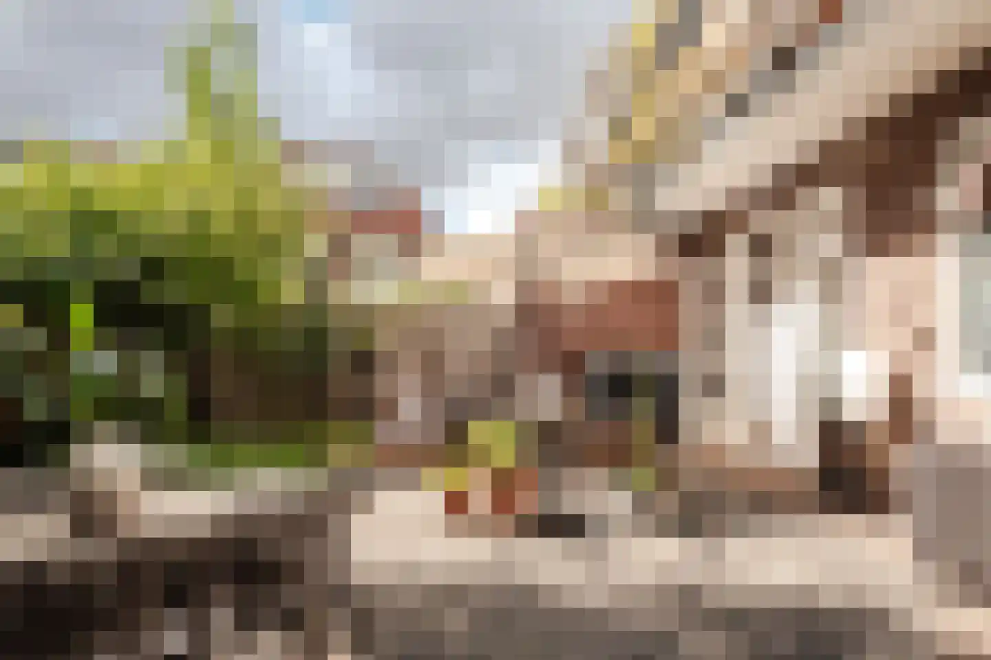 Van Zeggelenplein 1 Haarlem thumbnail 24