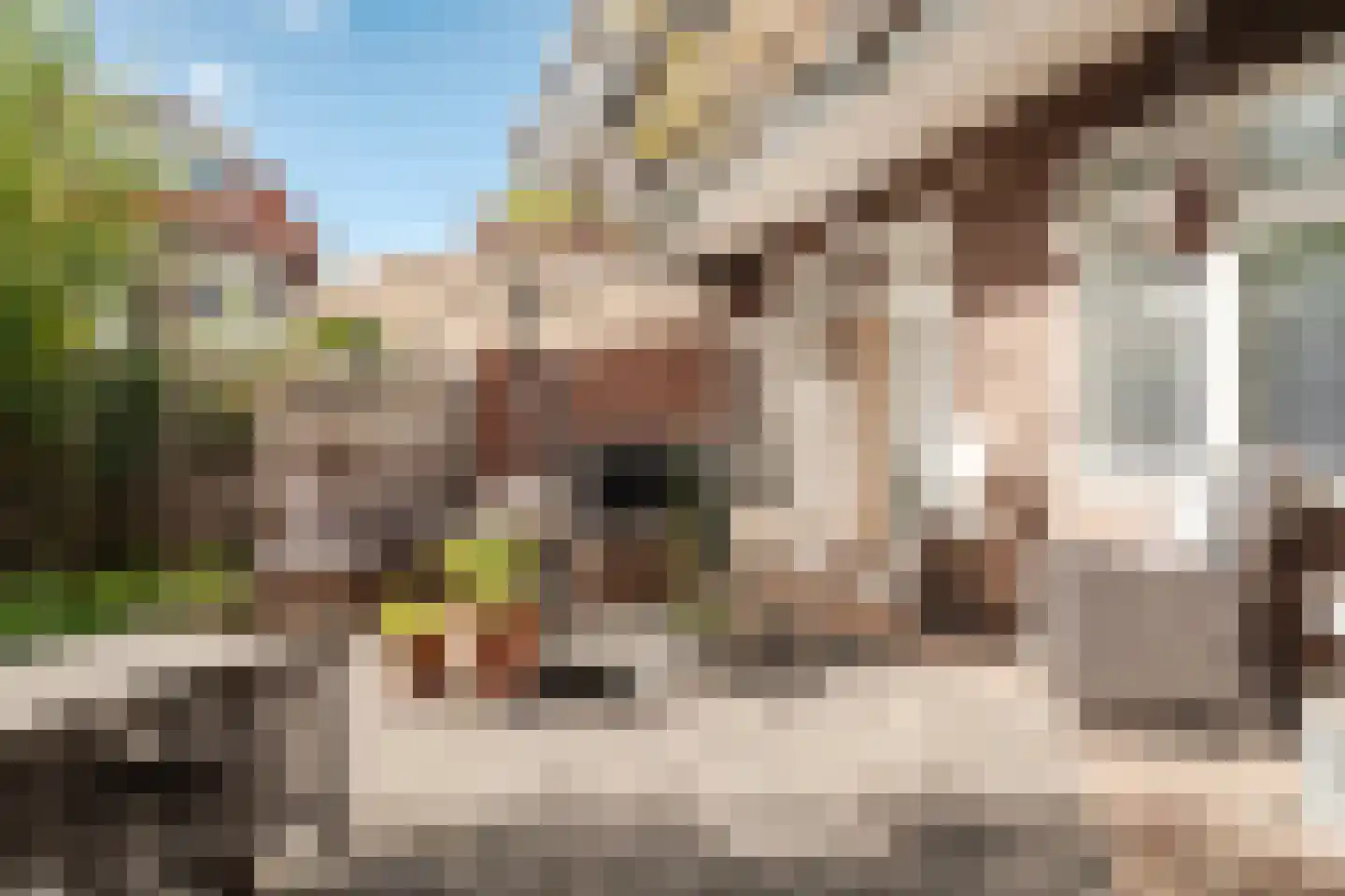 Van Zeggelenplein 1 Haarlem thumbnail 25