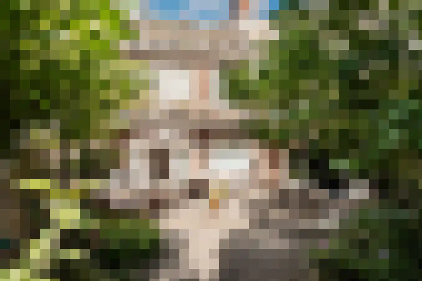 Van Zeggelenplein 1 Haarlem thumbnail 26