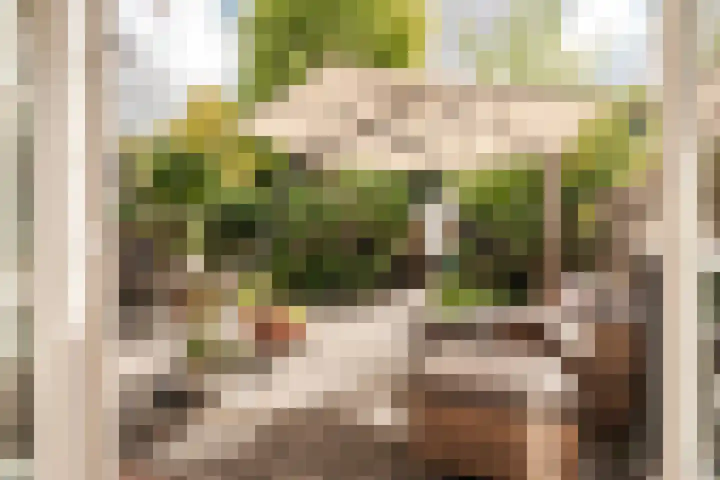 Van Zeggelenplein 1 Haarlem thumbnail 29