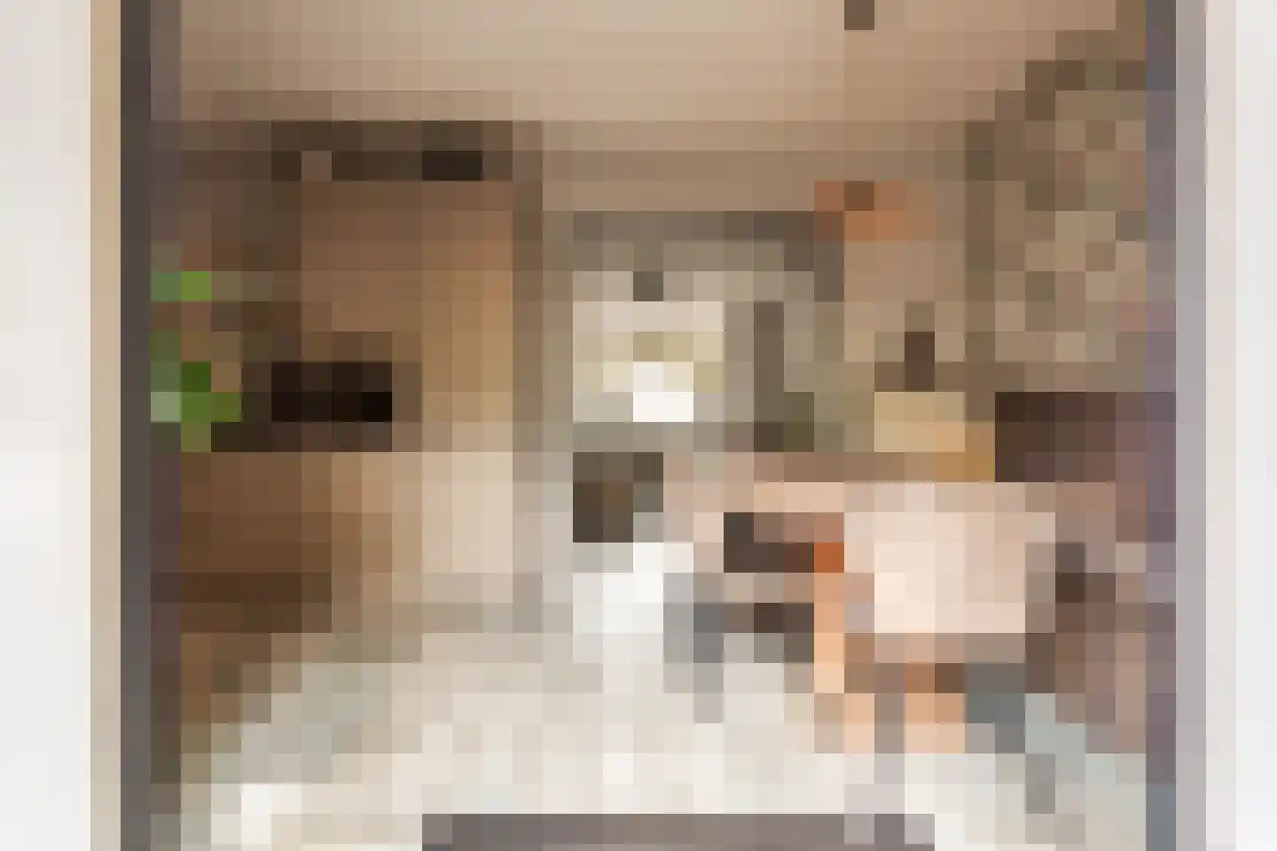 Van Zeggelenplein 1 Haarlem thumbnail 31