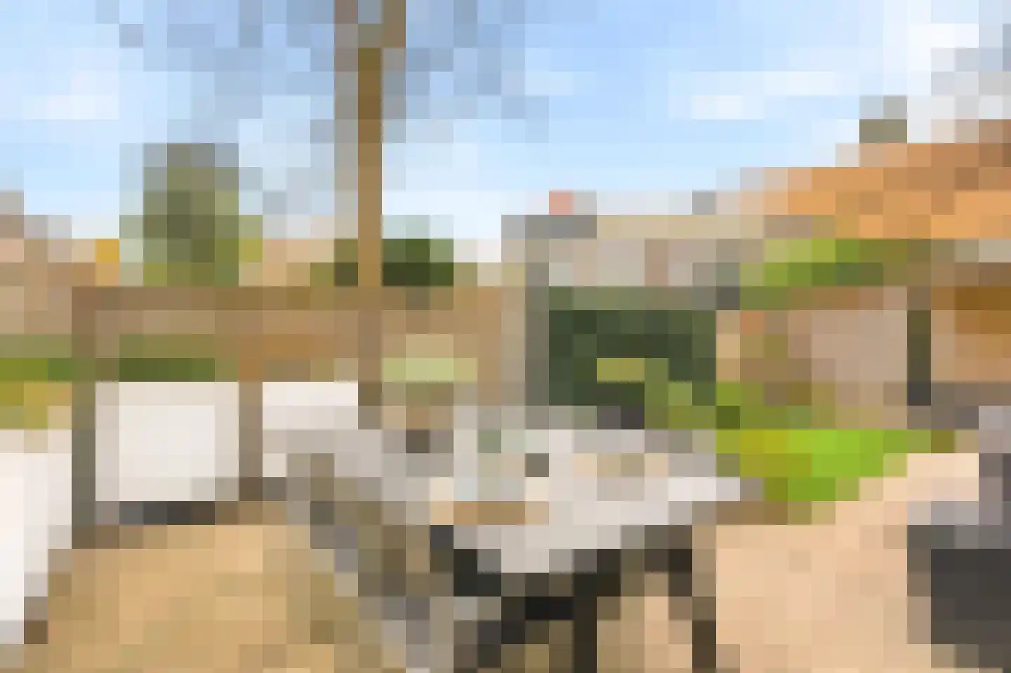Van Zeggelenplein 11 Haarlem thumbnail 6
