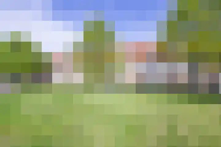 Van Zeggelenplein 62 Haarlem thumbnail 31