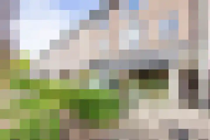 Van Zeggelenplein 62 Haarlem thumbnail 33