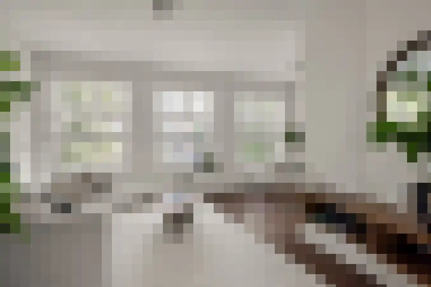 Van Zeggelenplein 64 Haarlem thumbnail 5