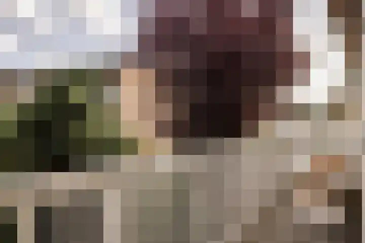 Van Zeggelenplein 68 Haarlem thumbnail 13