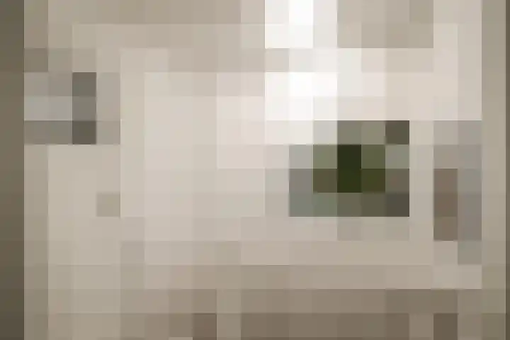 Van Zeggelenplein 68 Haarlem thumbnail 31