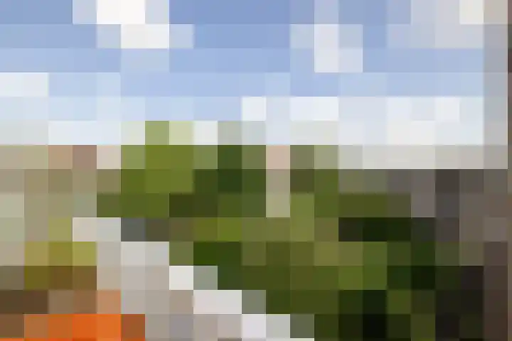 Van Zeggelenplein 68 Haarlem thumbnail 4