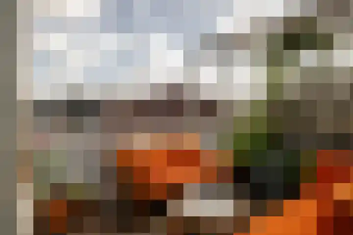 Van Zeggelenplein 68 Haarlem thumbnail 42