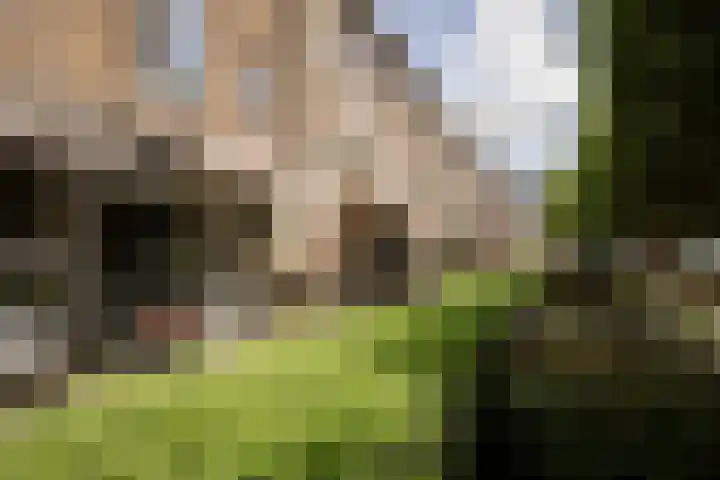 Van Zeggelenplein 68 Haarlem thumbnail 44