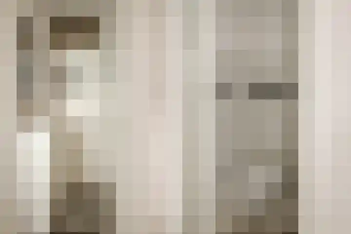 Van Zeggelenplein 68 Haarlem thumbnail 9