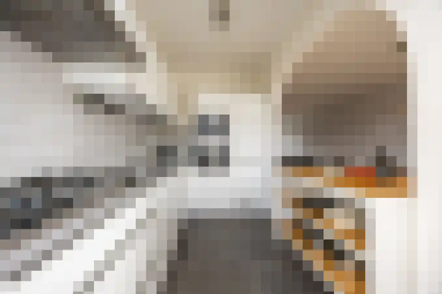 Van Zeggelenstraat 120 Haarlem thumbnail 16