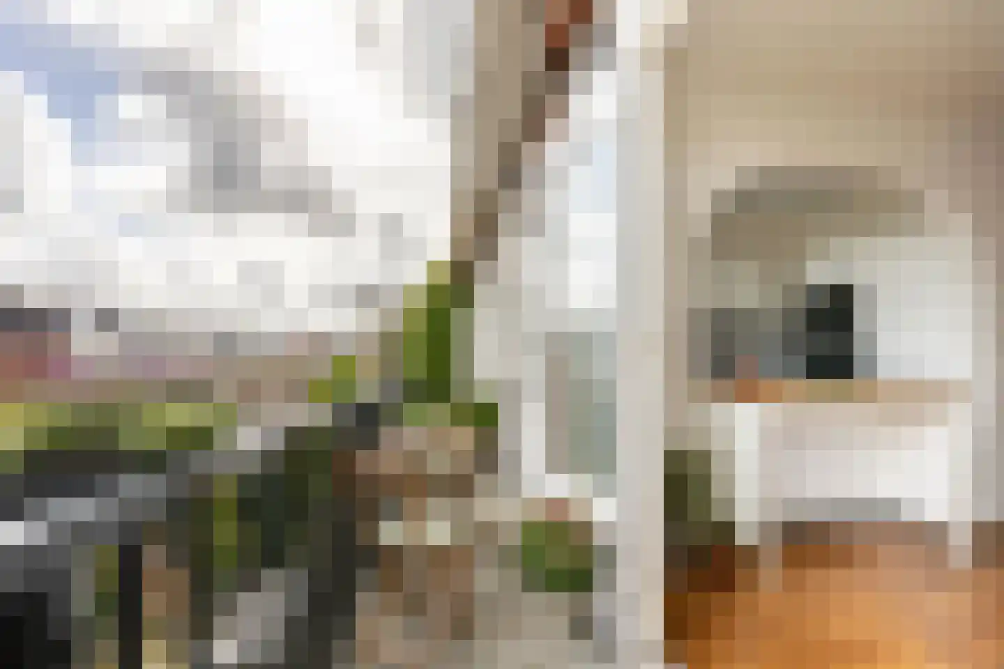 Van Zeggelenstraat 120 Haarlem thumbnail 18