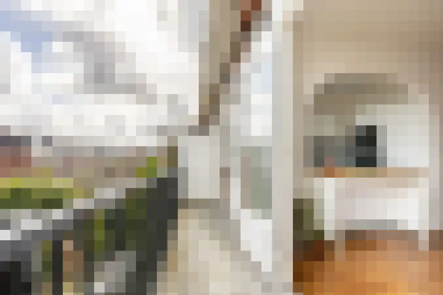 Van Zeggelenstraat 120 Haarlem thumbnail 18