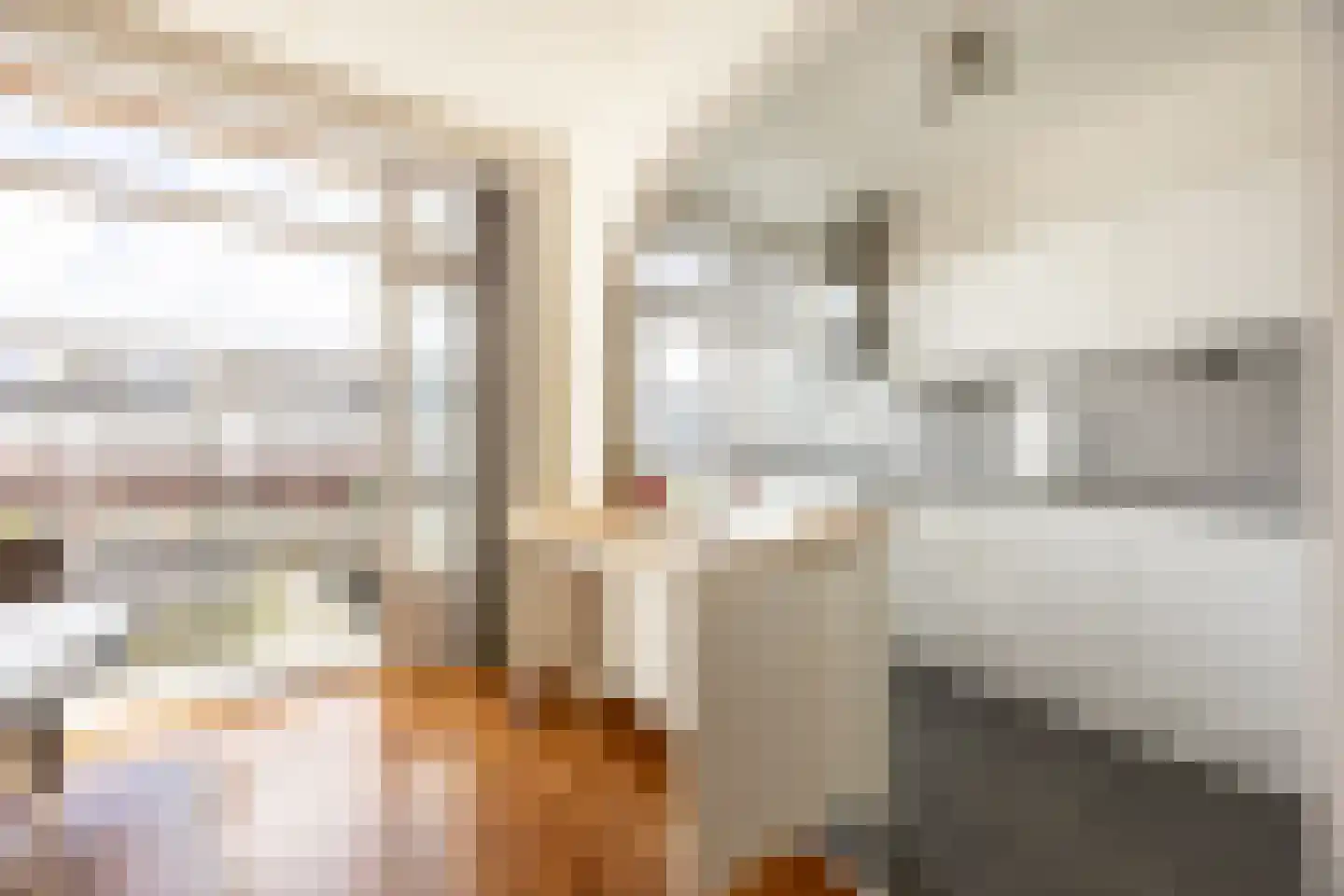 Van Zeggelenstraat 120 Haarlem thumbnail 4