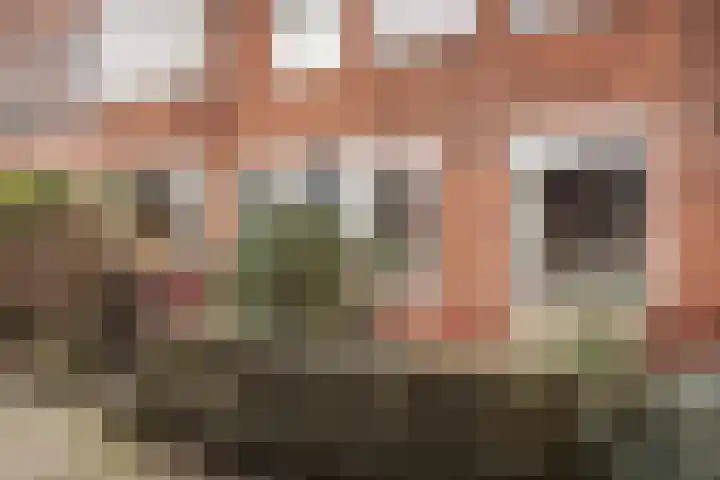 Van Zeggelenstraat 144 Haarlem thumbnail 35