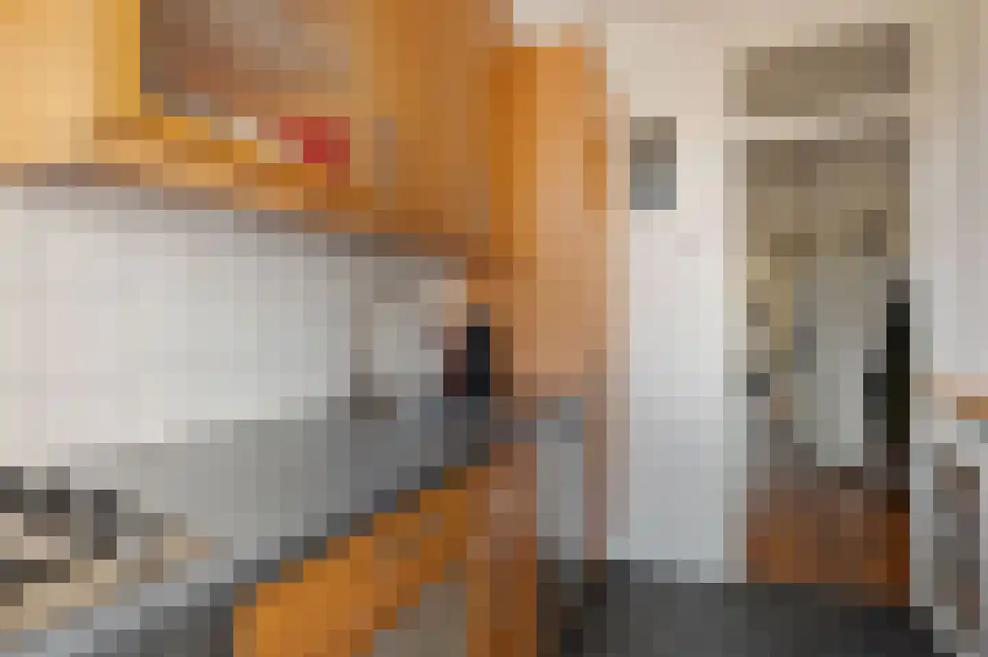 Van Zeggelenstraat 60 Haarlem thumbnail 20