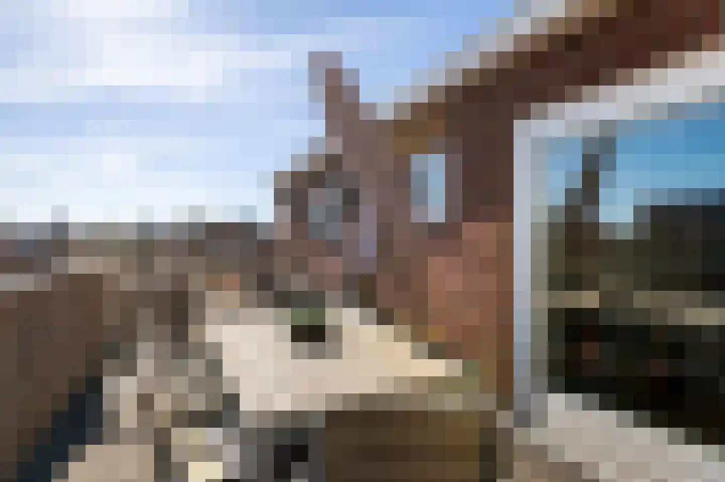 Van Zeggelenstraat 60 Haarlem thumbnail 30