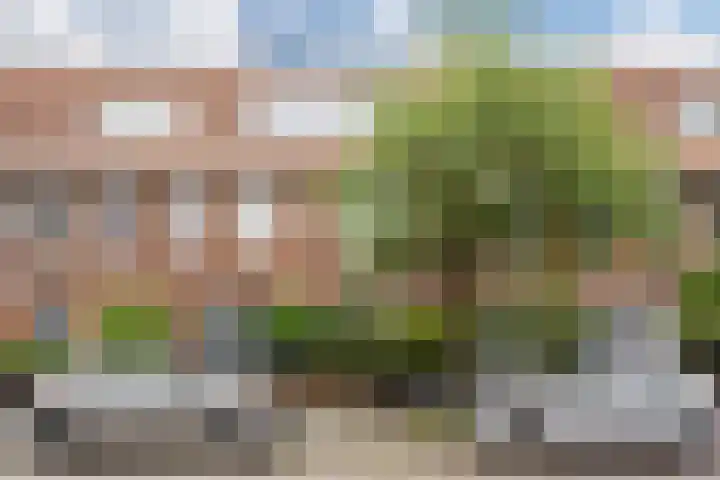 Van Zeggelenstraat 86 Haarlem thumbnail 18