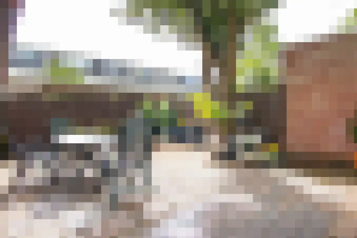 Van Zeggelenstraat 96 Haarlem thumbnail 26