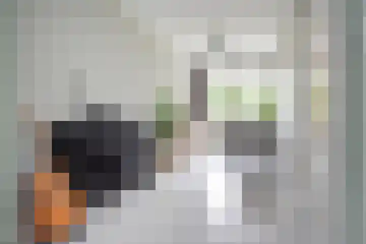 van Zegwaardstraat 264 Voorburg thumbnail 23