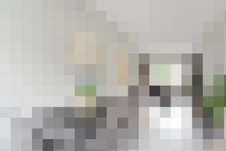 van Zegwaardstraat 264 Voorburg thumbnail 25