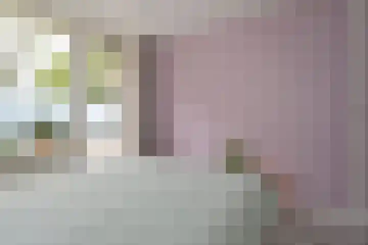 van Zegwaardstraat 264 Voorburg thumbnail 27