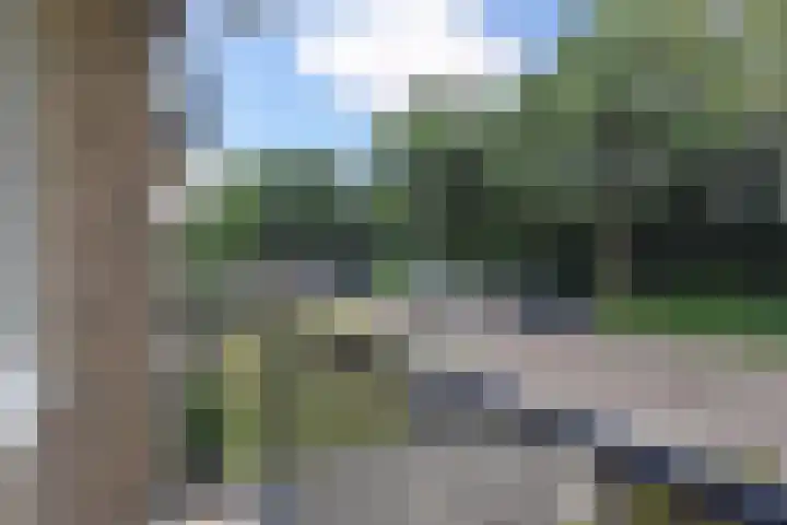 van Zegwaardstraat 264 Voorburg thumbnail 28