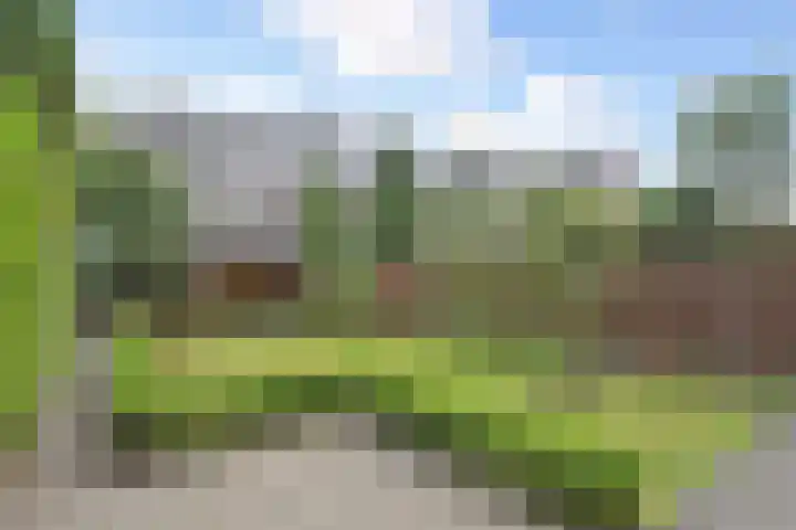 van Zegwaardstraat 264 Voorburg thumbnail 31