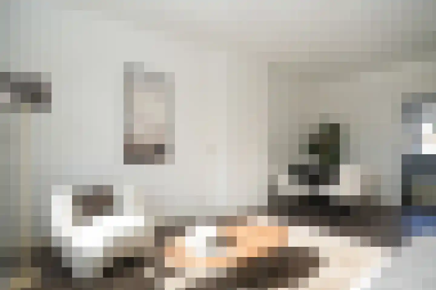 van Zegwaardstraat 286 Voorburg thumbnail 11
