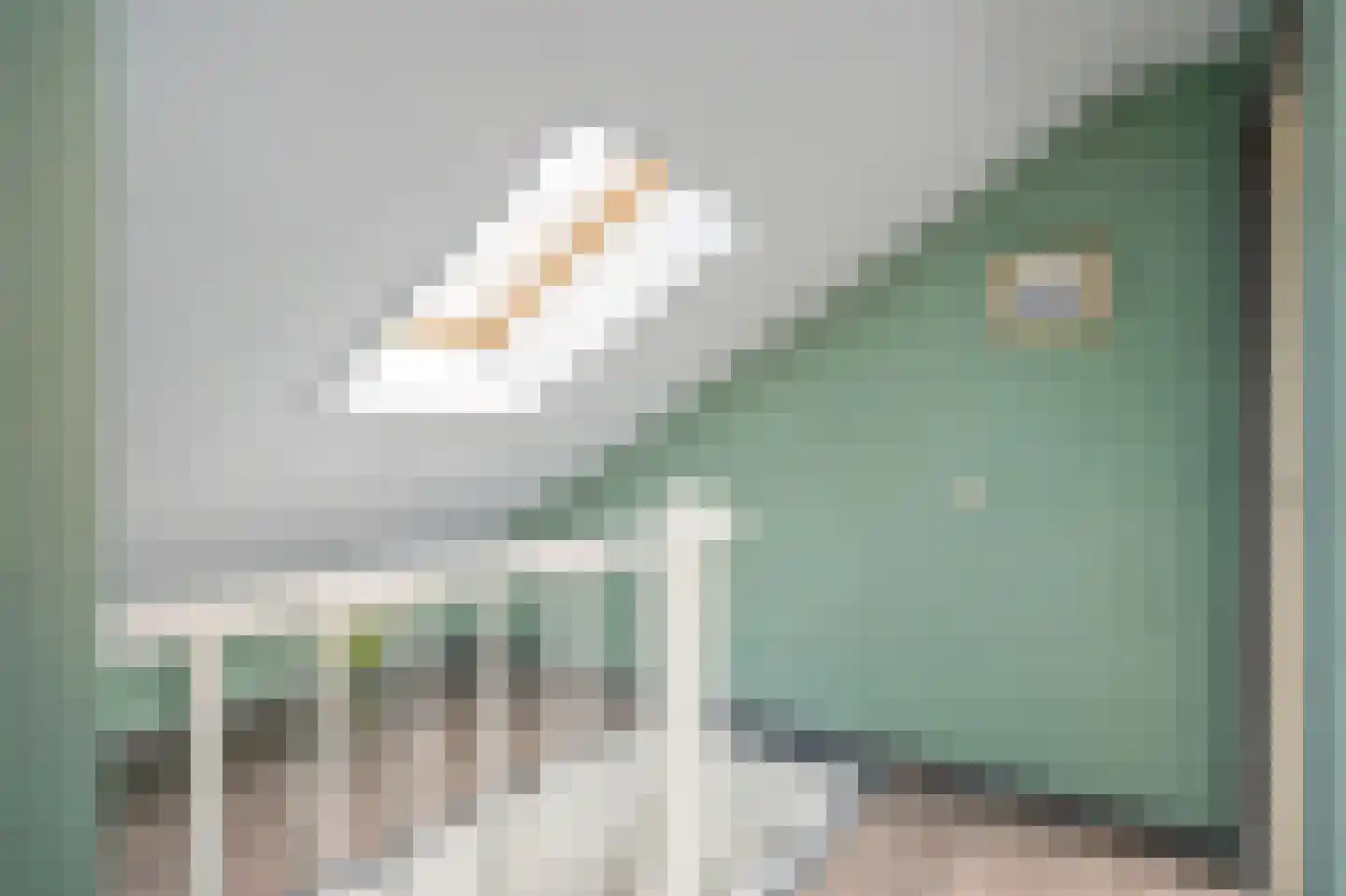 van Zegwaardstraat 294 Voorburg thumbnail 32