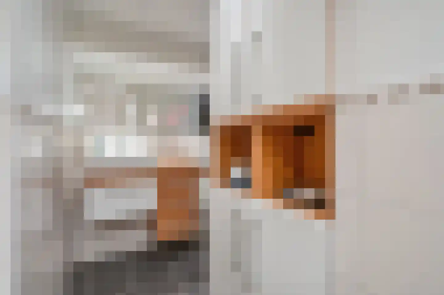 van Zegwaardstraat 294 Voorburg thumbnail 38