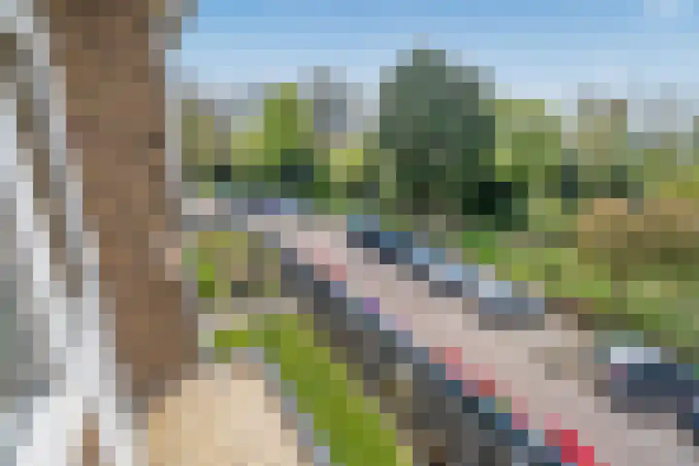 van Zegwaardstraat 294 Voorburg thumbnail 42