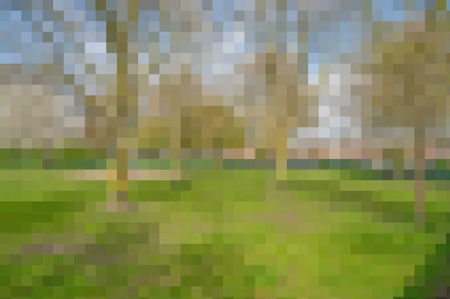 van Zegwaardstraat 294 Voorburg thumbnail 44