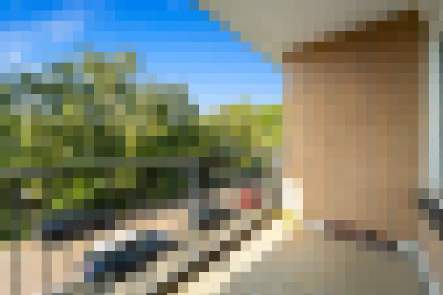 van Zegwaardstraat 382 Voorburg thumbnail 10