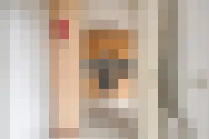 Van Zeylstraat 15 Oud-Vossemeer thumbnail 21