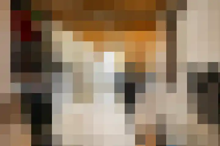 Van Zeylstraat 15 Oud-Vossemeer thumbnail 24