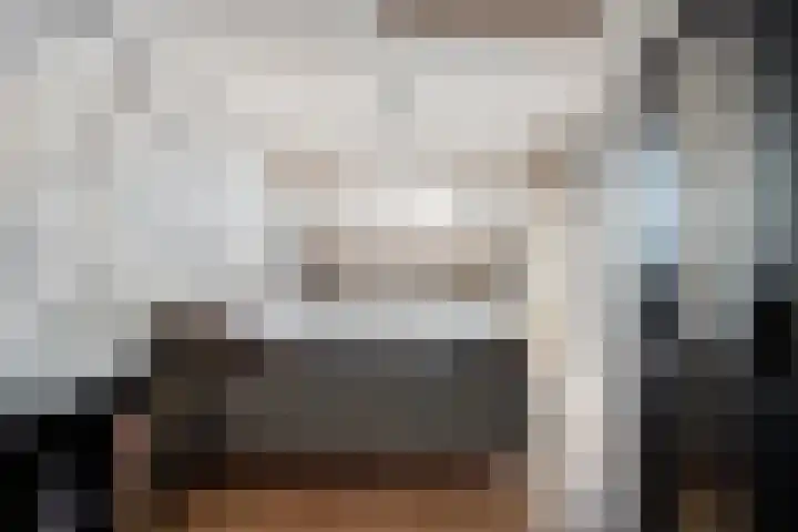 Van Zeylstraat 15 Oud-Vossemeer thumbnail 29