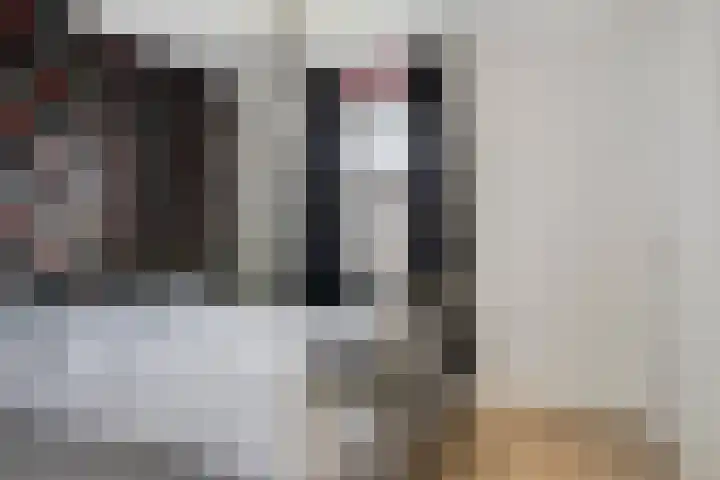 Van Zeylstraat 15 Oud-Vossemeer thumbnail 31