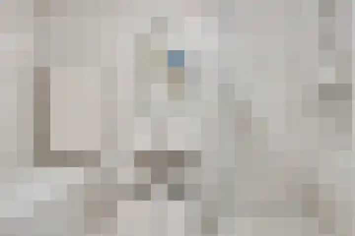 Van Zeylstraat 15 Oud-Vossemeer thumbnail 35