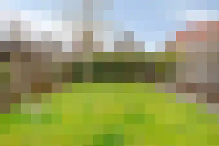 Van Zeylstraat 15 Oud-Vossemeer thumbnail 47