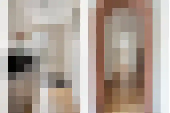 Van Zeylstraat 15 Oud-Vossemeer thumbnail 5