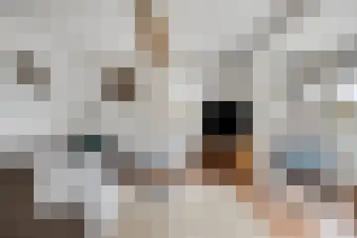 Van Zeylstraat 15 Oud-Vossemeer thumbnail 8