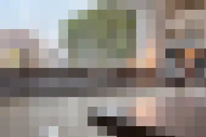 Van Zeylstraat 26 Oud-Vossemeer thumbnail 14