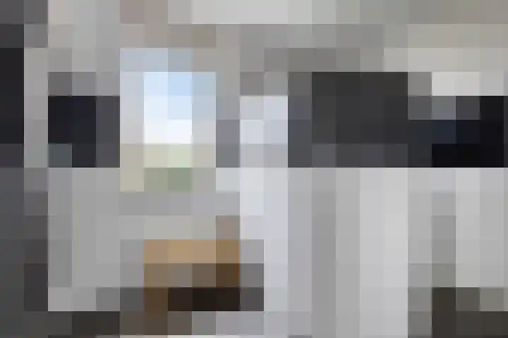 Van Zeylstraat 26 Oud-Vossemeer thumbnail 22